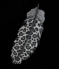 Leopard-patterned feather
