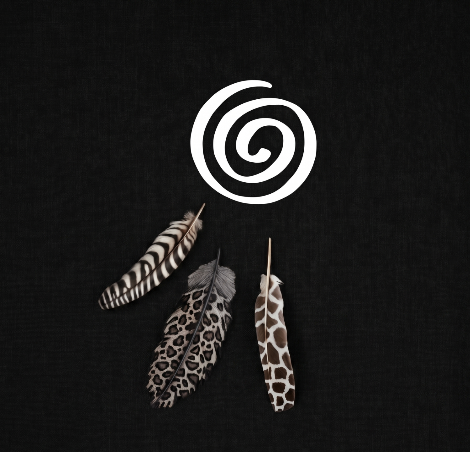 Ndoro spiral and feathers
